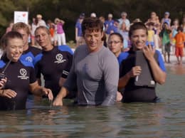 Dolphin Tale 2