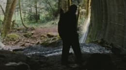The Tripper