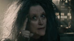 Into the Woods
