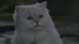 Stuart Little 2