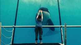 Rust and Bone