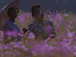 The Color Purple