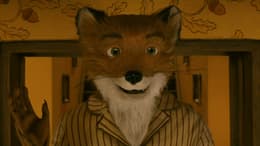 Fantastic Mr. Fox