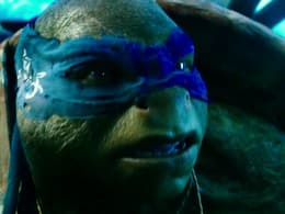 Teenage Mutant Ninja Turtles