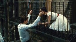 West Side Story