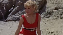 Gidget