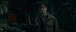 Harry Potter and the Deathly Hallows: Part 2