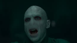 Harry Potter and the Deathly Hallows: Part 2