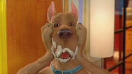 Scooby-Doo 2: Monsters Unleashed