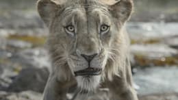 Mufasa: The Lion King