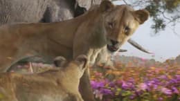 Mufasa: The Lion King