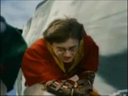 Harry Potter and the Sorcerer's Stone