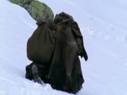 Doctor Zhivago