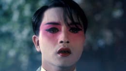 Farewell My Concubine