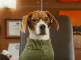 Cats & Dogs: The Revenge of Kitty Galore