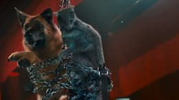Cats & Dogs: The Revenge of Kitty Galore