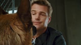 Cats & Dogs: The Revenge of Kitty Galore