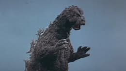 Mothra vs. Godzilla