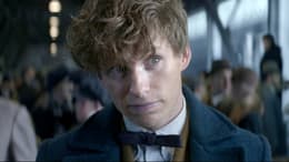 Fantastic Beasts and Where to Find Them