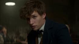 Fantastic Beasts and Where to Find Them