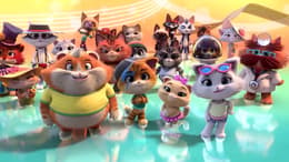 44 Cats