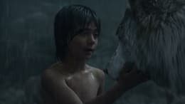 The Jungle Book