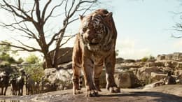 The Jungle Book