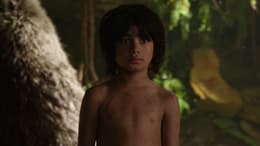 The Jungle Book