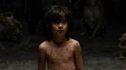 The Jungle Book