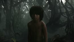 The Jungle Book