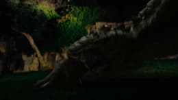 Dragon Wars: D-War