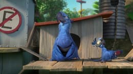 Rio 2