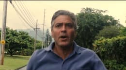 The Descendants