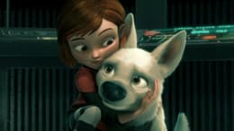 Bolt