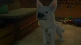 Bolt