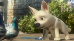 Bolt