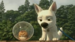 Bolt