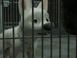 Bolt