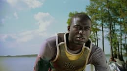 Shark Night