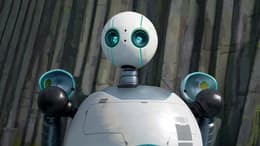The Wild Robot
