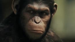 Rise of the Planet of the Apes