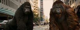 Rise of the Planet of the Apes