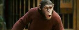 Rise of the Planet of the Apes