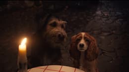 Lady and the Tramp