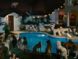 Marmaduke