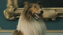 Lassie