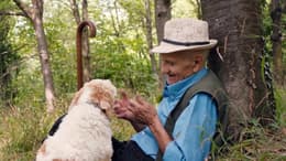 The Truffle Hunters