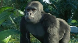 Tarzan