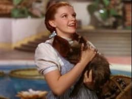 The Wizard of Oz
