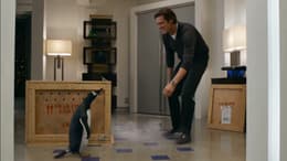 Mr. Popper's Penguins